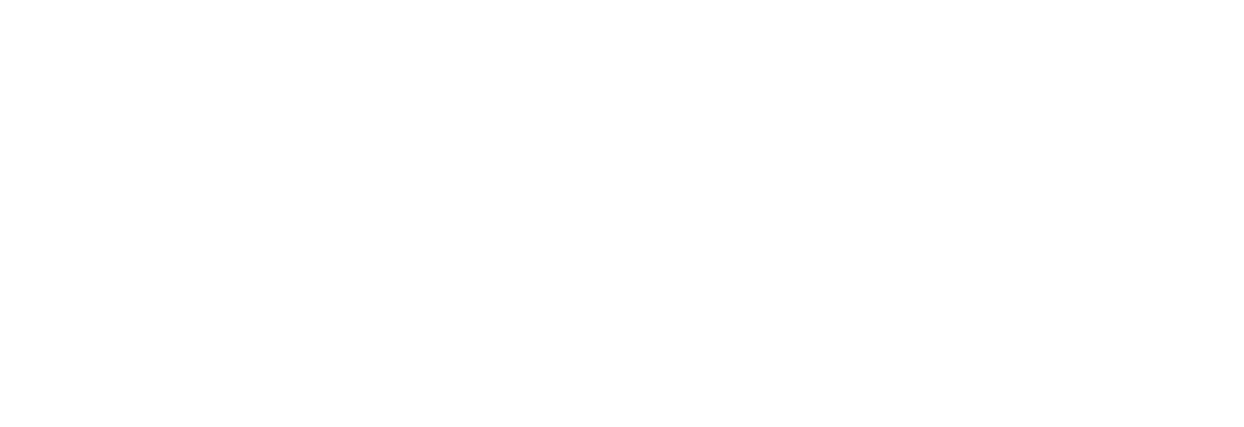新长丰 New Changfeng