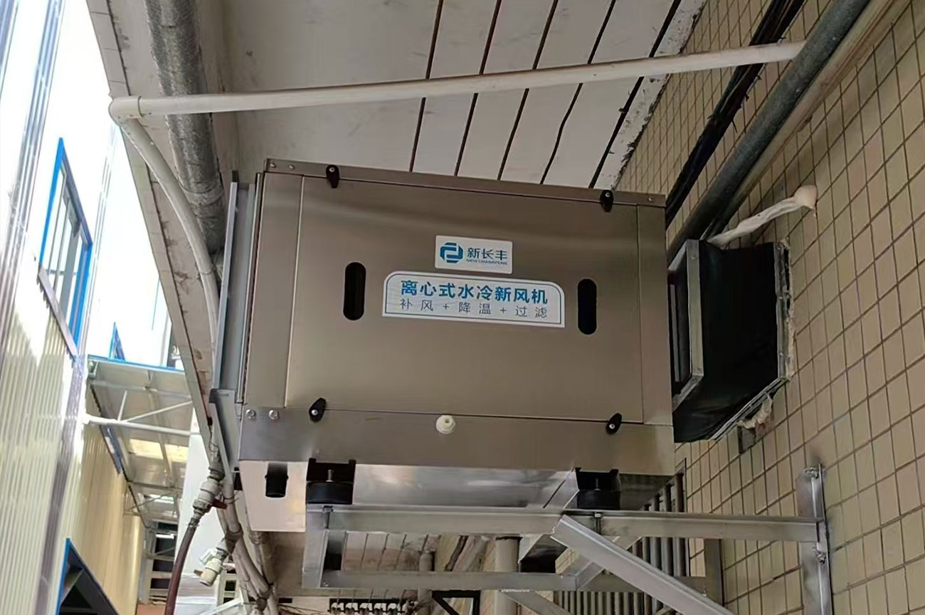 愿者上钩(新高电)